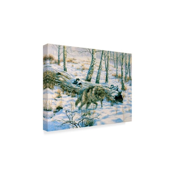 Bill Makinson 'Snow Wolf' Canvas Art,35x47